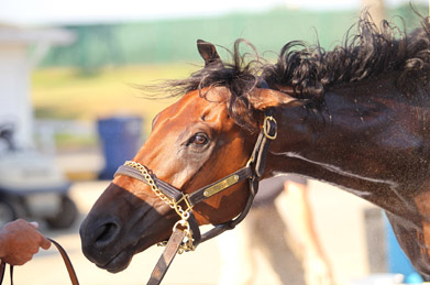 07-28-2016Nyquist391